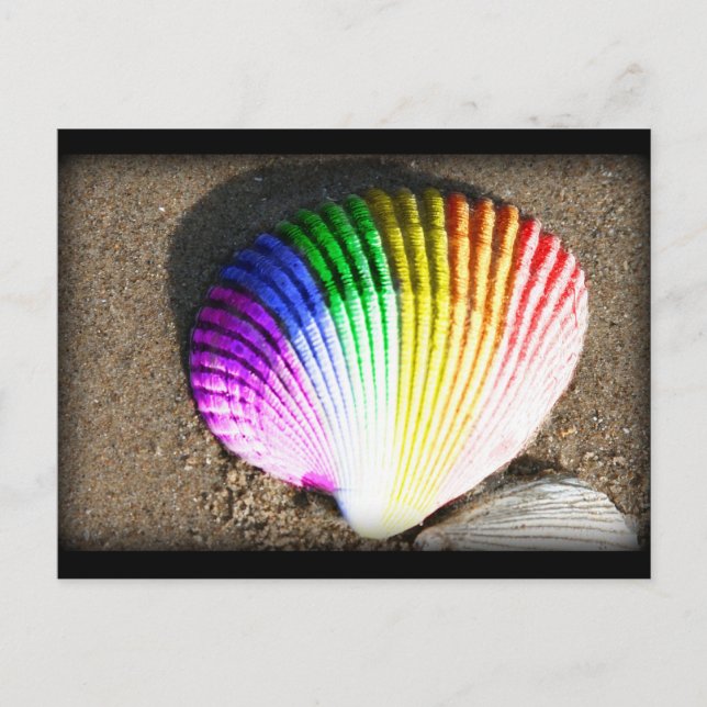 pridet snäcka vykort (Framsida)