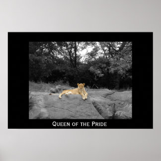 Pridets drottning poster