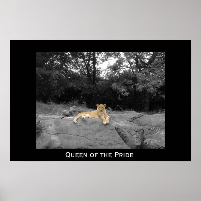 Pridets drottning poster (Framsidan)