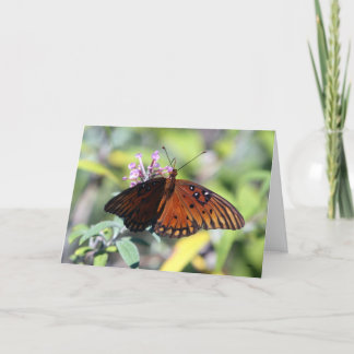 Prima mammor, hejer kort