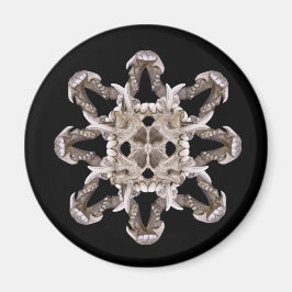 Primal Scream Magnet