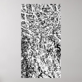 Primär harmoni poster