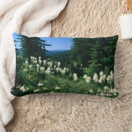 Primär liggande Personlig Lumbarkudde