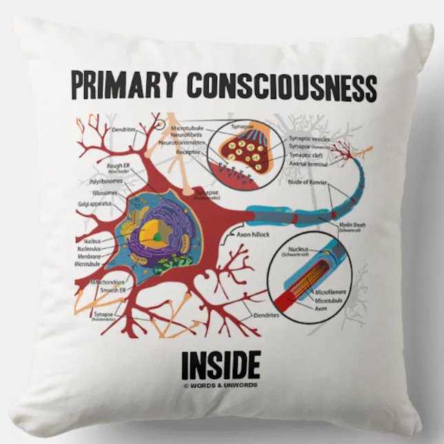 Primär medvetslöshet inuti (Neuron/Synapse) Kudde (Throw pillow featuring neuron/synapse for anyone with "Primary Consciousness Inside")