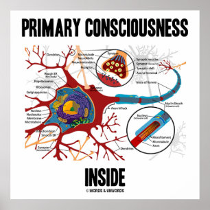 Primär medvetslöshet inuti (Neuron/Synapse) Poster