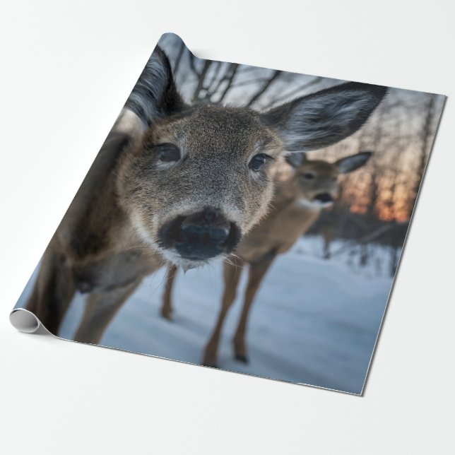 PRIMÄRT SUNSET MED VILDA DJUR PRESENTPAPPER (Utrullad)