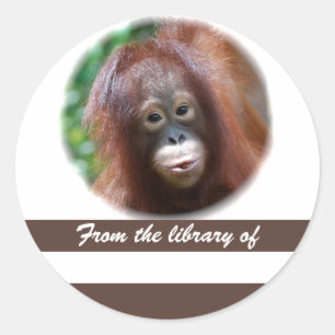 Primate Älskare Bok Sticker Runt Klistermärke