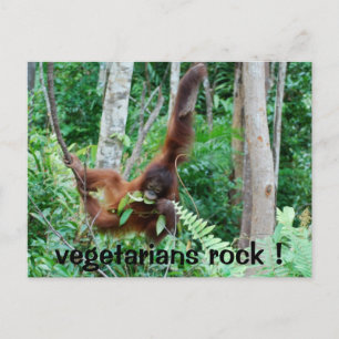 Primaten Vegetarians Sten! Vykort
