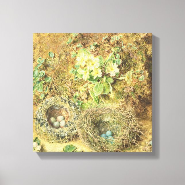 Primater och fågelnest canvastryck (Framsida)