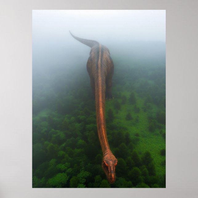 Primeval Forest Aerial Photography Poster (Framsidan)