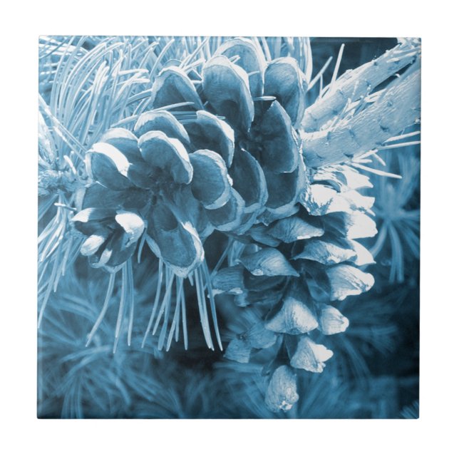 Primitiv isblått pinekon från träd vid jul kakelplatta (Framsidan)