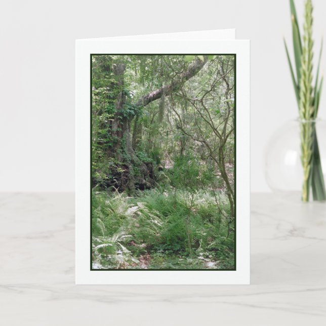 Primordiellt liggande gratulationskort kort (Framsida)