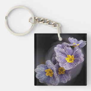 Primrose