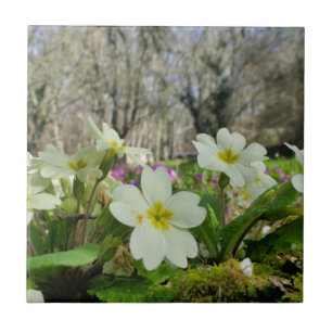 Primrose Ceramic Tile Kakelplatta