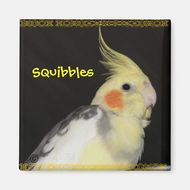 Primrose Cockatiel Magnet (Framsidan)