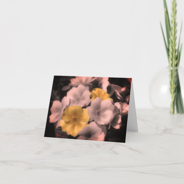 Primrose Flower Black and White Note Card Tack Kort (Framsida)