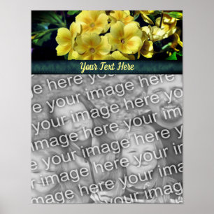 Primrose Flowers Add Your Photo Personlig Poster