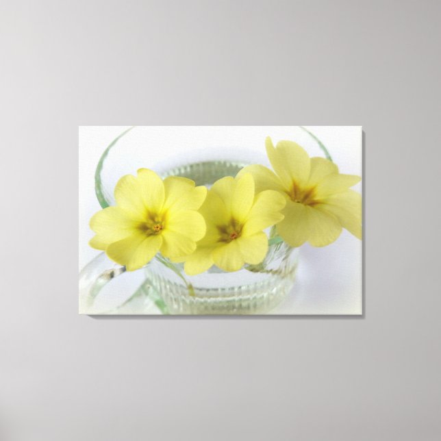primrose i kaffe kopp canvastryck (Framsida)