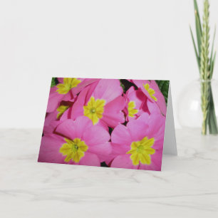 Primrose Note-kort för rosa Gult Kort