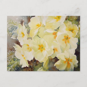Primrose Posy Vykort