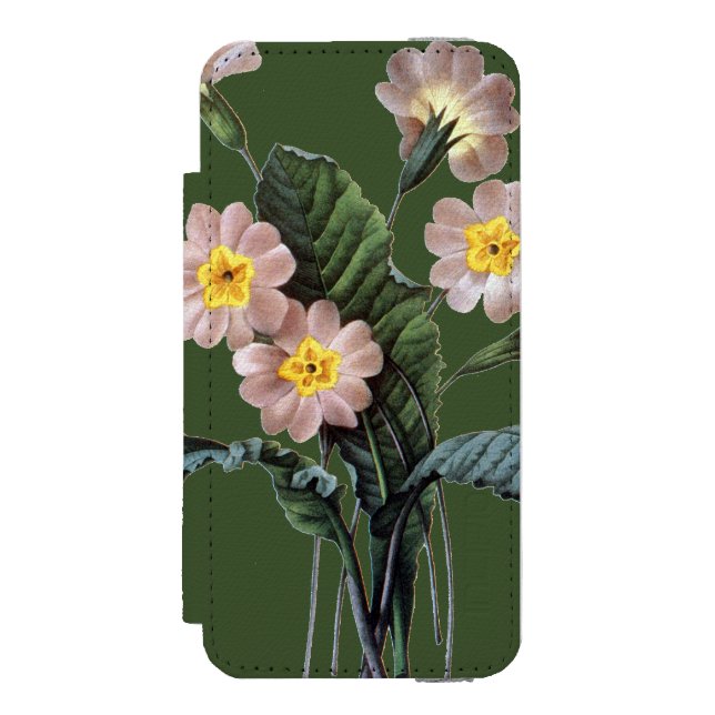 Primrose (Primula Aucalis) Incipio iPhone Wallet Skal (Folio Framsidan)