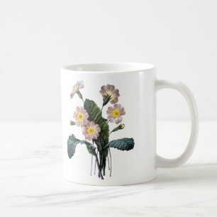 Primrose (Primula Aucalis) Kaffemugg