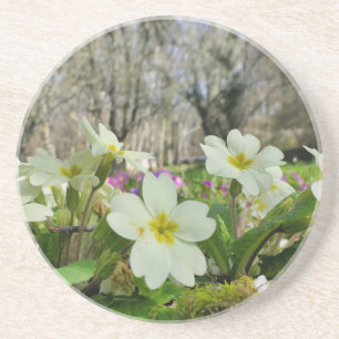Primrose Sandstone Underlägg