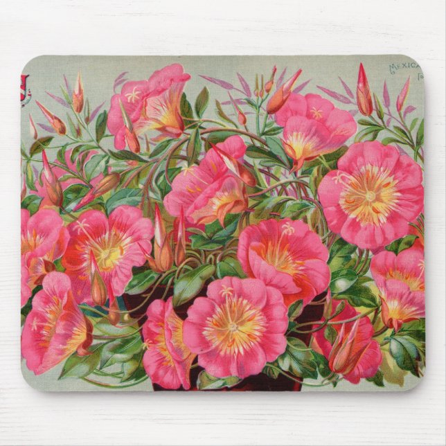 Primrose Seed Packets Mousepad Musmatta (Framsidan)