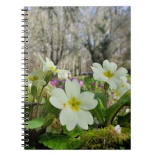 Primrose Spiral bärbar dator Anteckningsbok