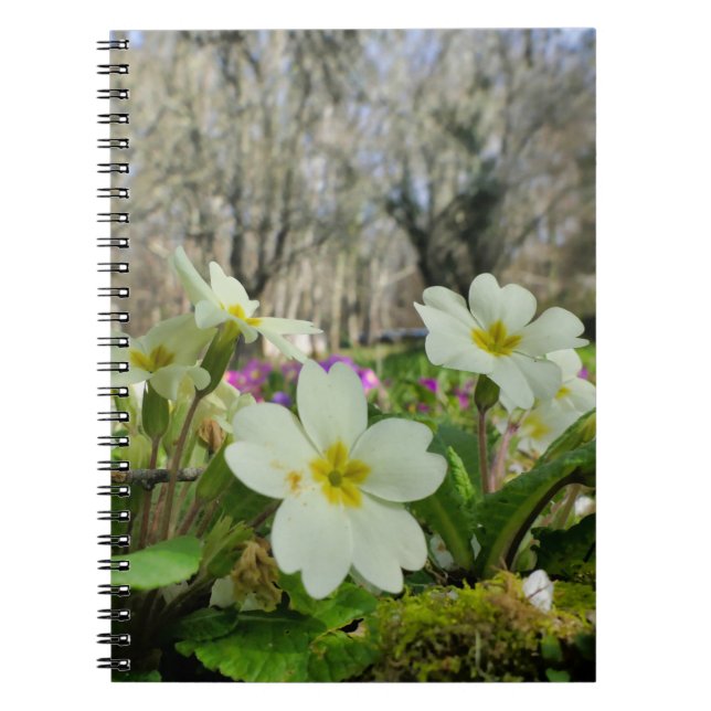 Primrose Spiral bärbar dator Anteckningsbok (Framsidan)