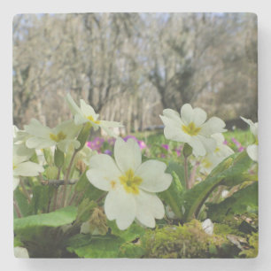 Primrose Stone Underlägg