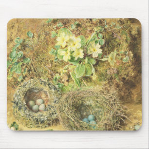 Primroses och fåglar bygga bo musmatta