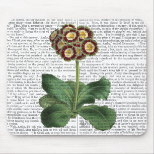 Primula Auricula Red Musmatta