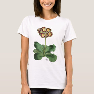 Primula Auricula Red Tee