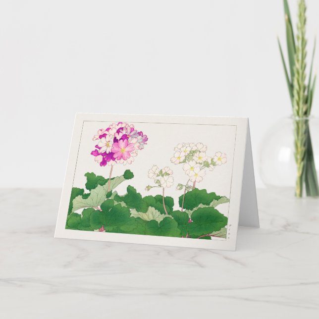 Primula av Tanigami Konan Kort (Framsida)