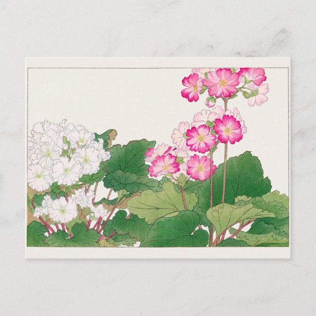 Primula av Tanigami Konan Vykort (Framsida)