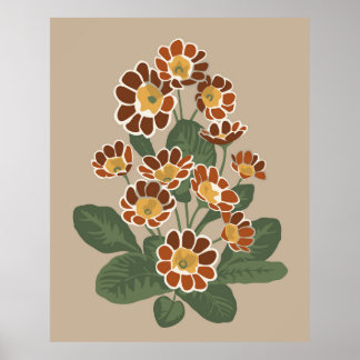 Primula-blomman mönster poster