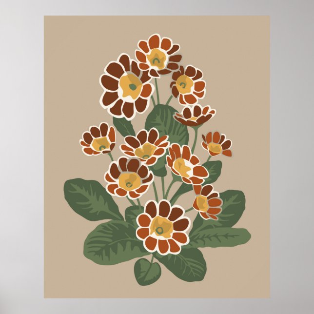 Primula-blomman mönster poster (Framsidan)