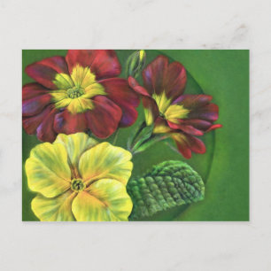 Primula primroses vår vykort