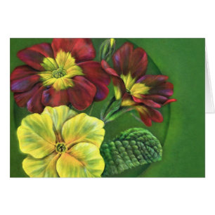 Primula Prirose vår art-målning Hälsningskort