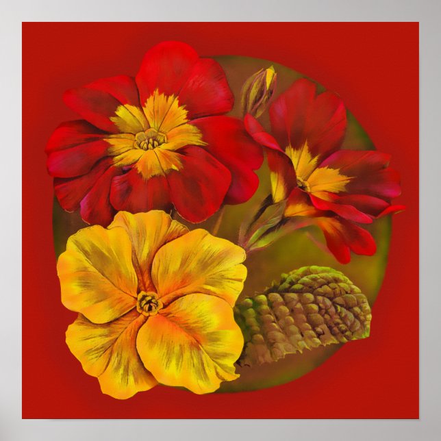 Primula red & gult bra art botanik poster (Framsidan)