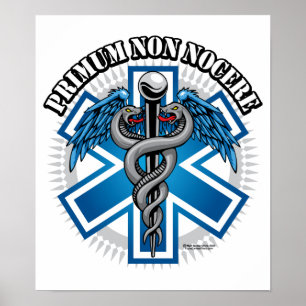 PRIMUM NON NOCERE Combat Medic Poster
