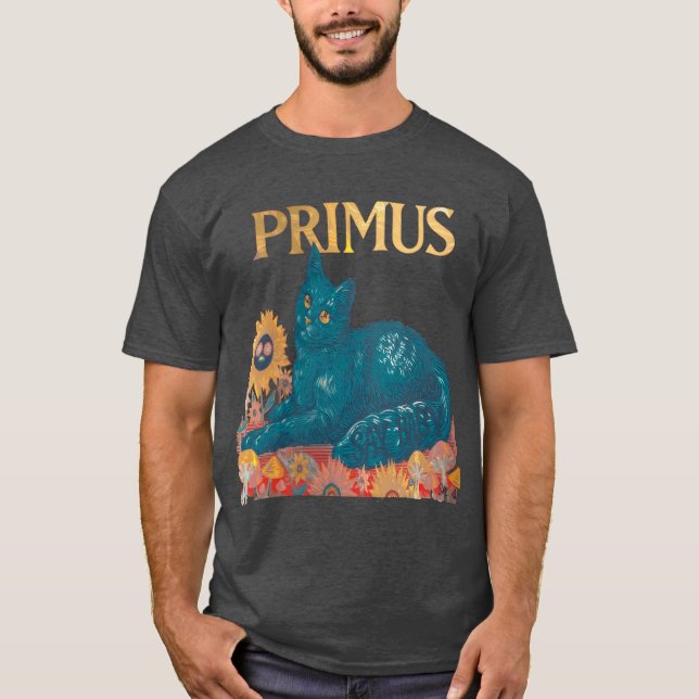 Primus Raw Epressive med emotionell berättelse v T Shirt (Framsida)