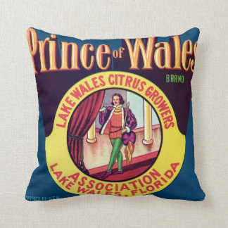Prince av Wales vintage för sjöWales Florida Kudde