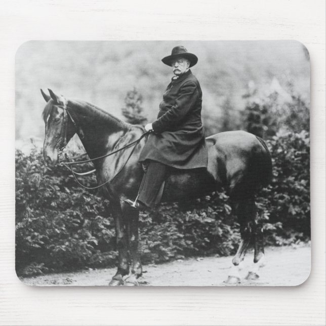 Prince Bismarck i Friedrichsruh, 1890 Musmatta (Framsidan)