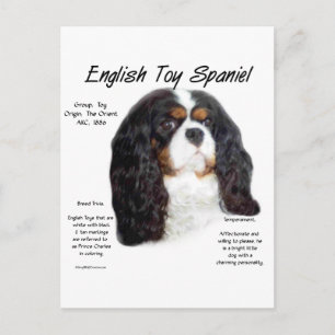 Prince Charles engelska toy spaniel Historia Vykort
