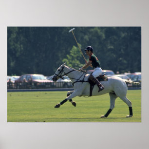 Prince Charles Pllay Polo vid Windsor Poster