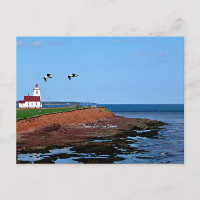 Prince Edward Island Lighthouse Vykort (Framsida)