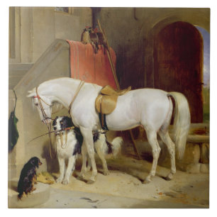 Prince George's Favorites (olja på canvas) Kakelplatta