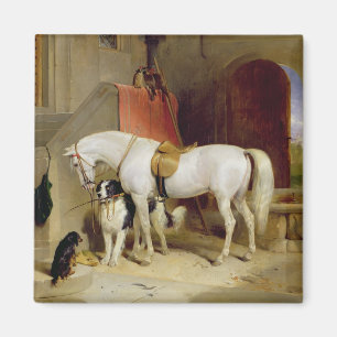 Prince George's Favorites (olja på canvas) Magnet